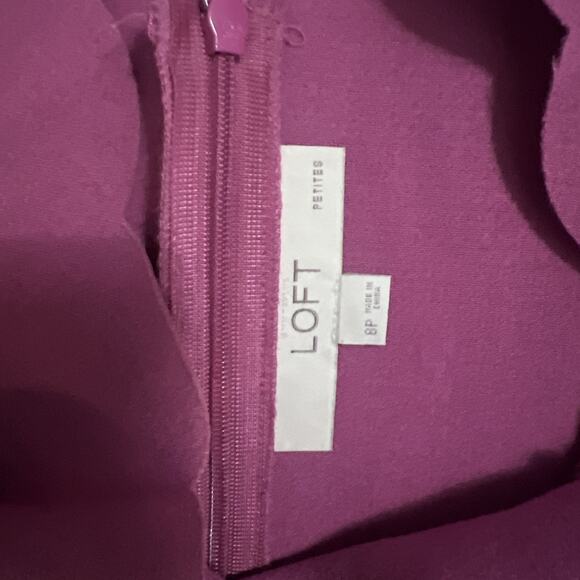 LOFT A-line Dress Size 8P Pink Sleeveless Fit & Flare Work Event Preppy - Picture 3 of 10